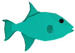 Ocean Triggerfish