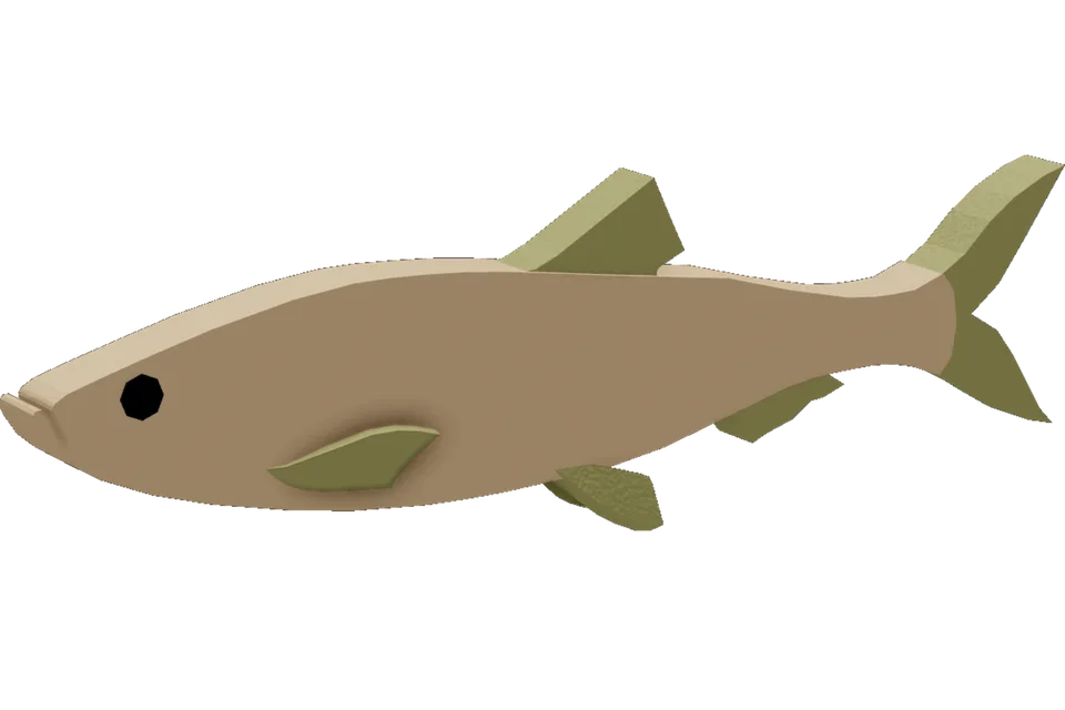 Oil Sardine