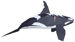 Orca