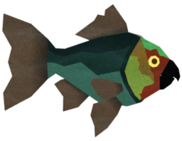 Parrotfish