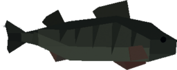 Perch