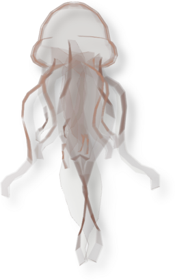 Phantom Jellyfish