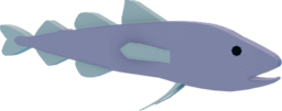 Polar Cod