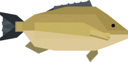 Porgy