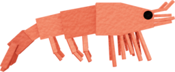Prawn