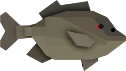 Pumpkinseed