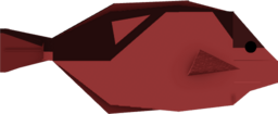 Red Tang