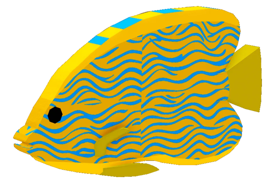 Regal Angelfish