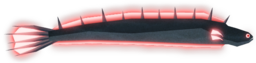 Rock Gunnel