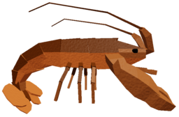 Rock Lobster