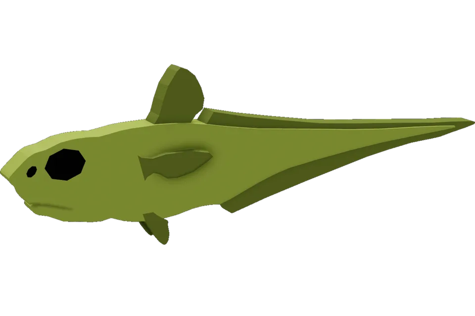 Roughhead Grenadier