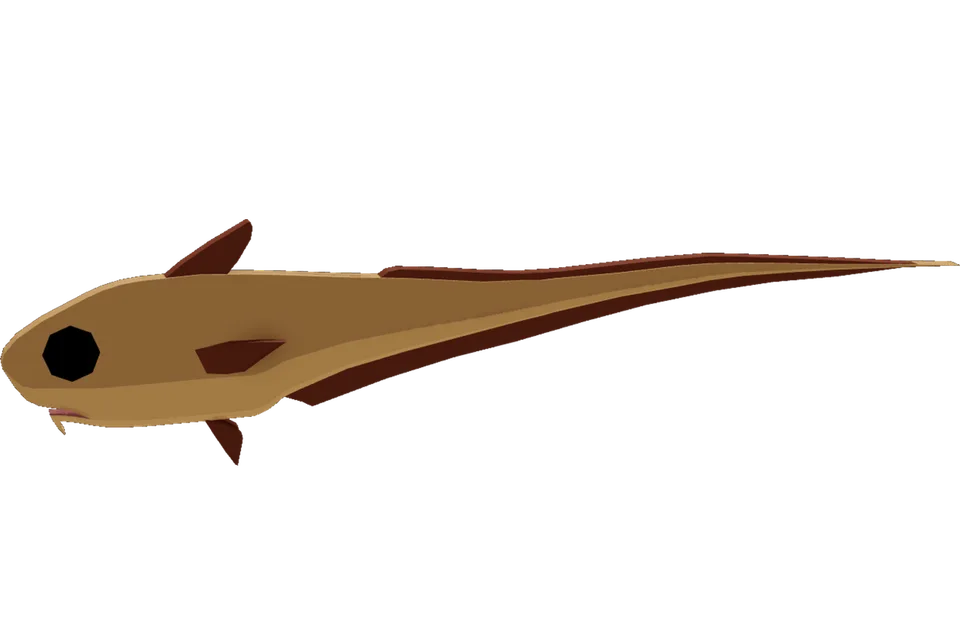Roundnose Grenadier