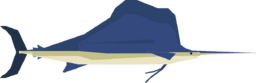 Sailfish