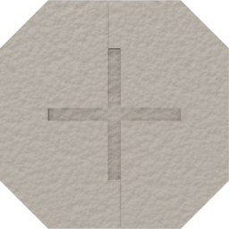 Sand Dollar