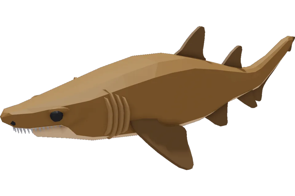 Sand Tiger Shark