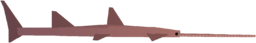 Sawfish