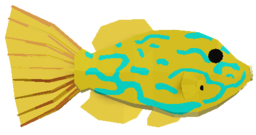 Scrawled Filefish
