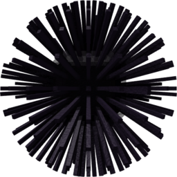 Sea Urchin