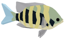 Sergeant Major