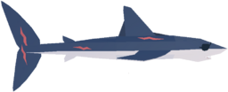 Shortfin Mako Shark