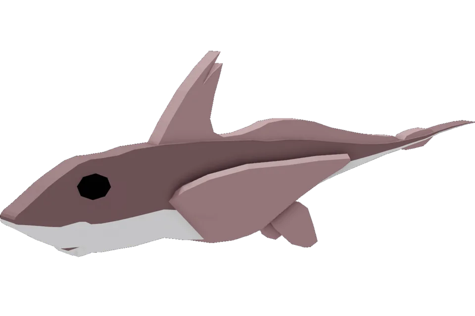 Shortnose Chimaera
