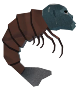 Shrimpanzee