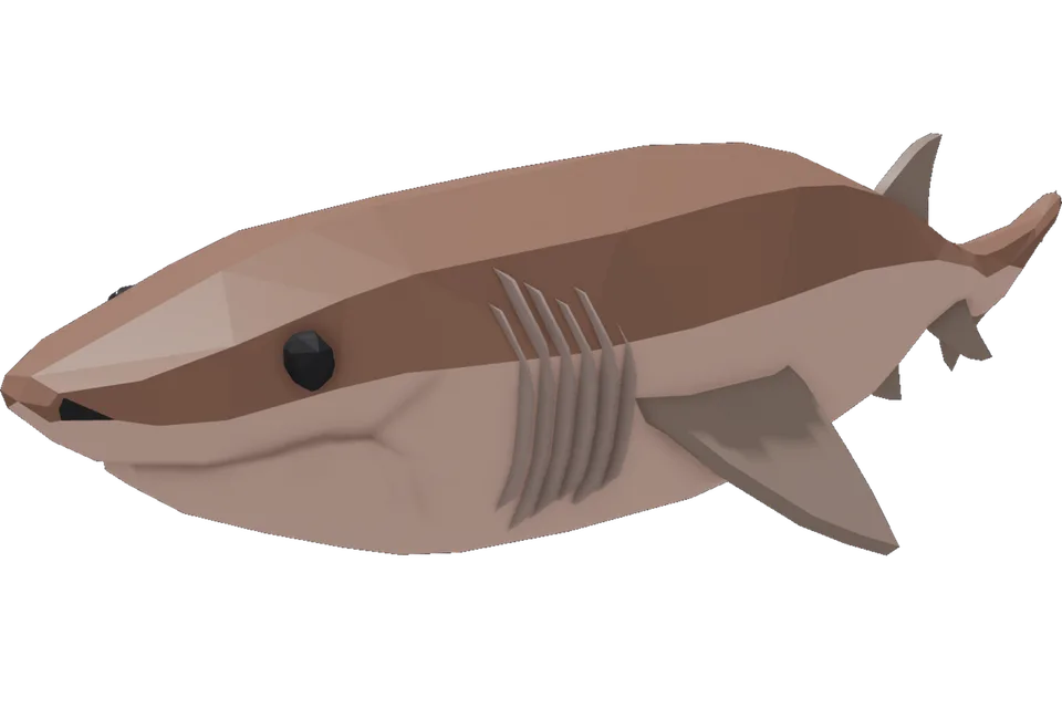 Sixgill Shark