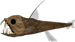 Sloane's Viperfish