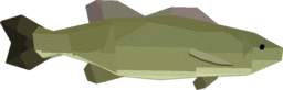 Smallmouth Bass