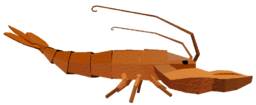 Snowcap Lobster