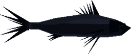 Spiderfish