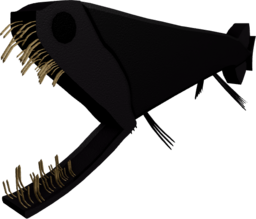 Stoplight Loosejaw