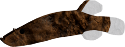 Swampfish