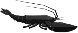 Terrapin Lobster