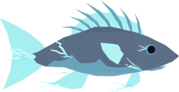 Thunder Bass