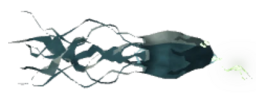 Veilborn Parasite