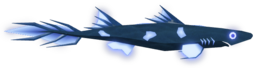 Velvet Belly Lanternshark