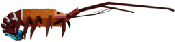 Waveborne Lobster