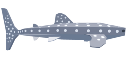 Whale Shark