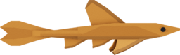 Whiptail Catfish