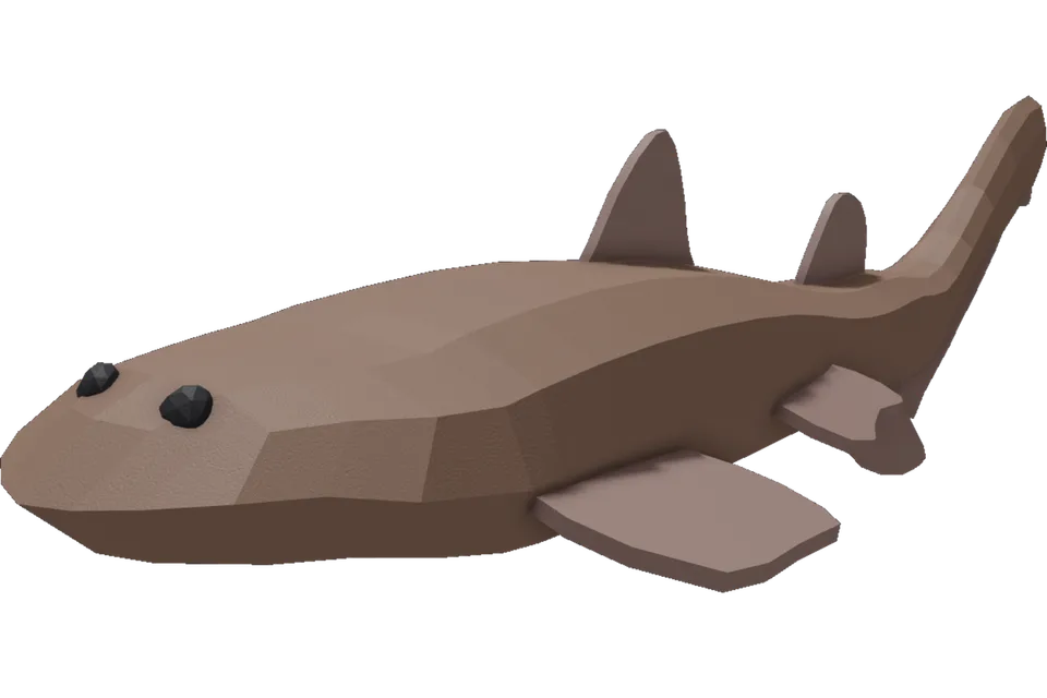 Wobbegong Shark