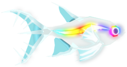 X-ray Tetra