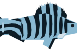 Zebrafishlet