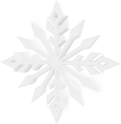 Snowyflake Lantern