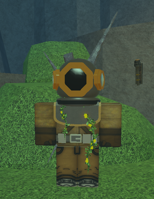 Diver Barry