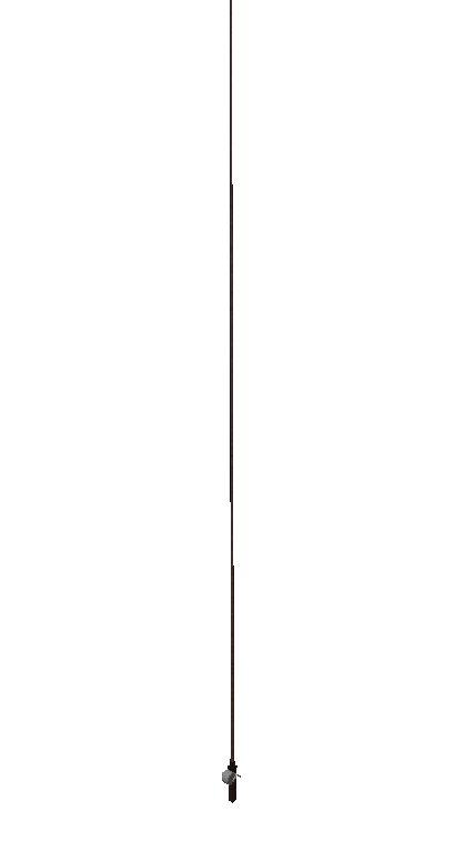 The Longest One