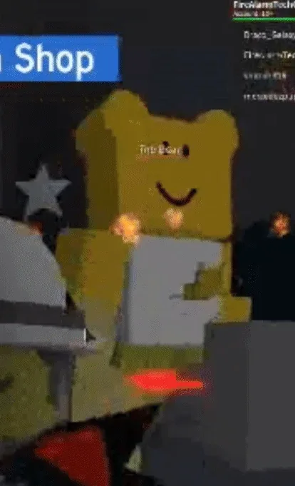 Top Bear