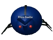 Rhino Beetle