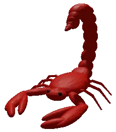 Scorpion