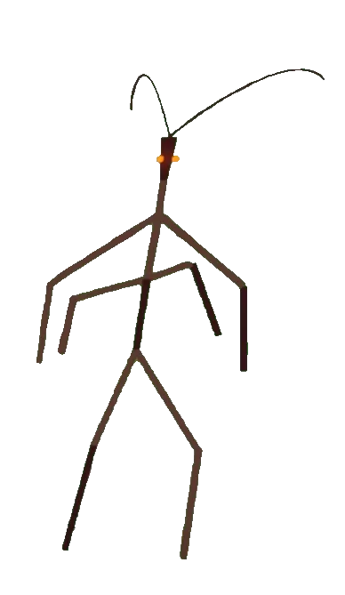 Stick Bug